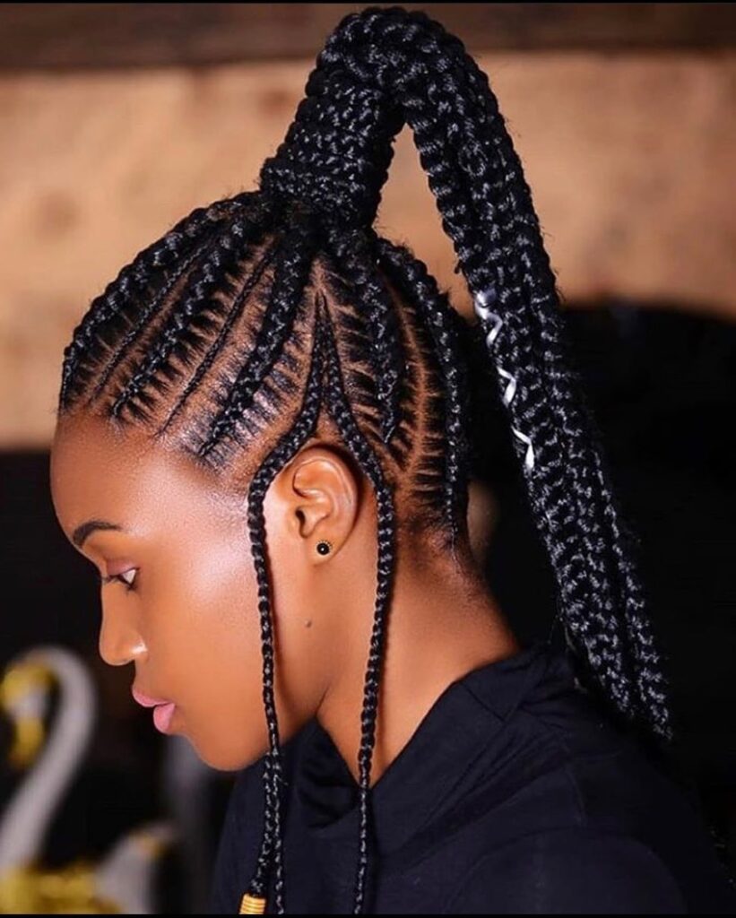 16 hairstyles braids black